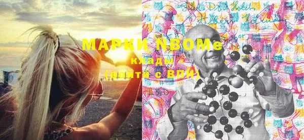 шишки Горнозаводск