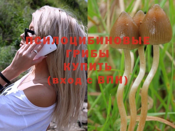 шишки Горнозаводск