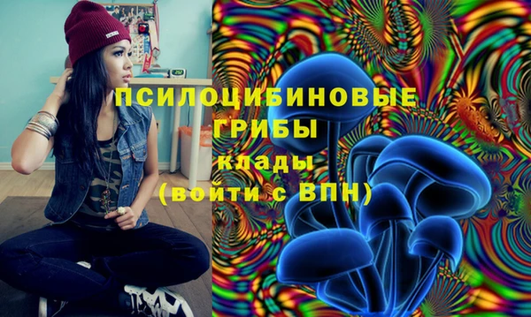 экстази Горняк