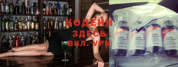 шишки Горнозаводск