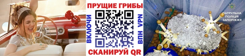 Псилоцибиновые грибы ЛСД  Норильск 